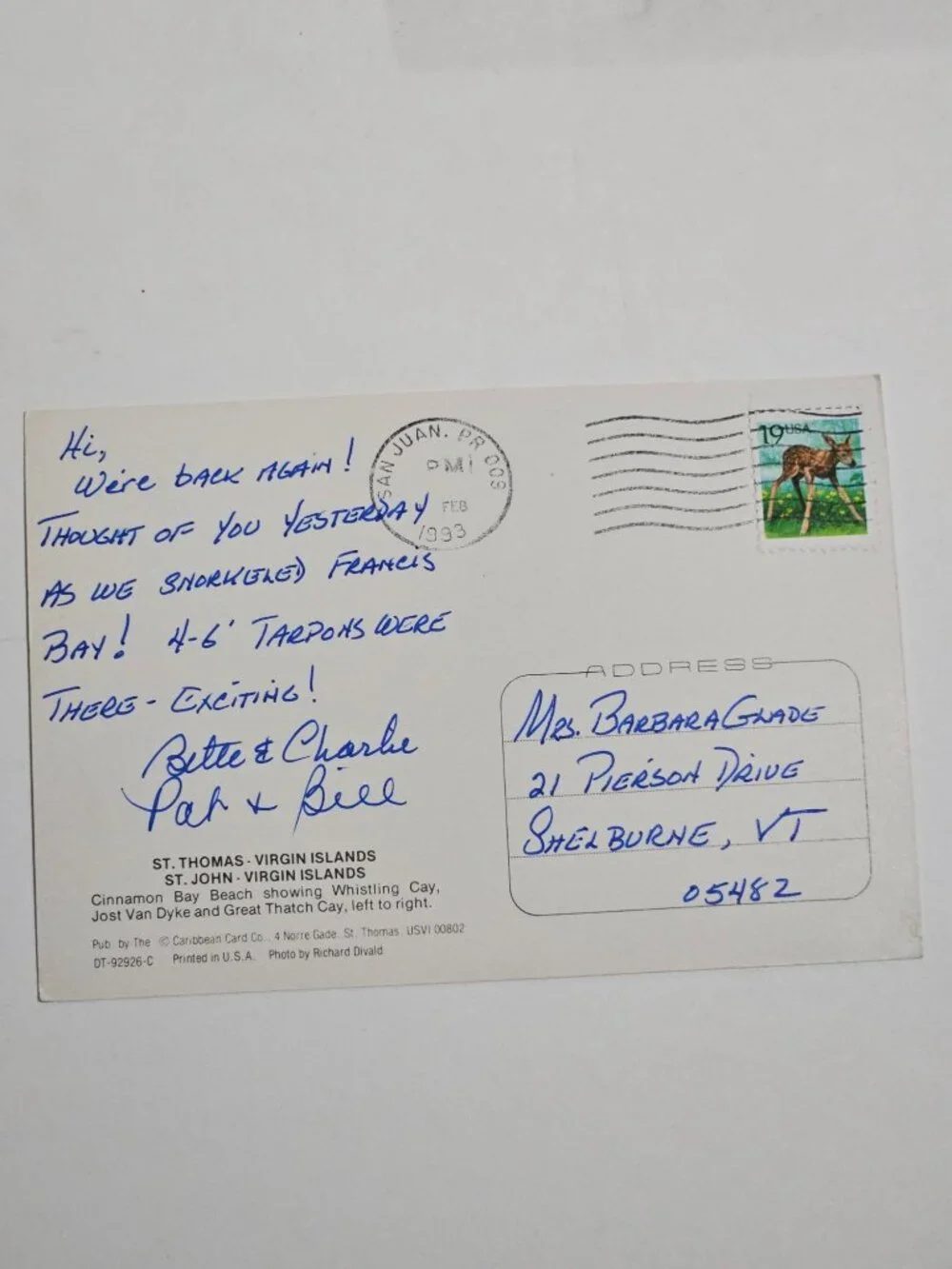 St Thomas St John Cinnamon Bay Virgin Islands Postcard